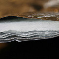102169-950-3