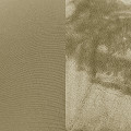 172316-800-5